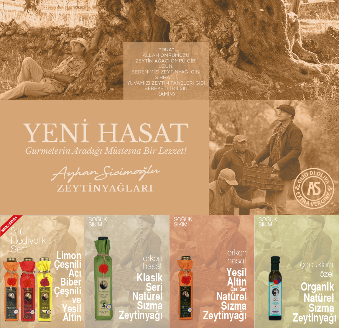 Ayhan Sicimoglu Zeytinyaglari4